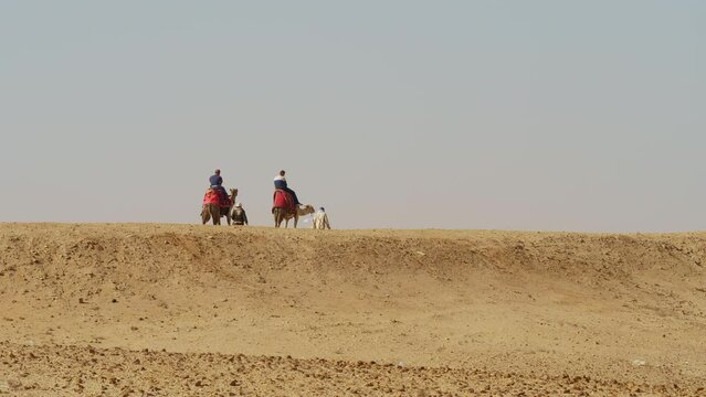 Arab rides tired tourists on two camels through desert. Wanderers travelling in wilderness astride with guide. People with animals moving on sandy place. Tourism, excursion, trip in barren area