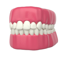 denture with white and healthy teeth 3d illustration on white background