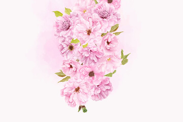 watercolor pink cherry blossom background design