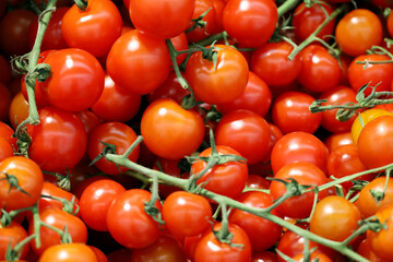 Red cherry tomatoes on green twigs, fresh vegetables in the market