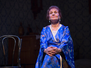 Lady in Kimono.
A beautiful European elderly lady in a kimono dreamily recalls the past