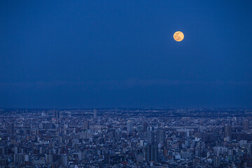 都会と満月