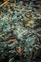 broken glass on the floor of an abandoned building, late fall