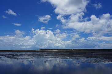 The blue sky with clouds reflecting with water  windbreak of mangrove forest Eastern of Thailand