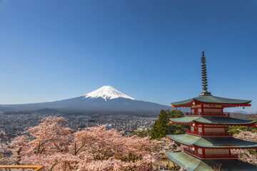 春の富士山　Mt. Fuji in spring