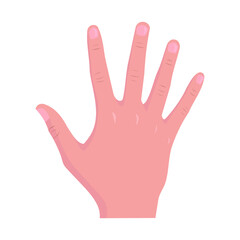 Obraz premium Hand vector Human organs digital design graphic 2d hd illustration