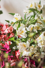 white and pink flowers of alstroemeria