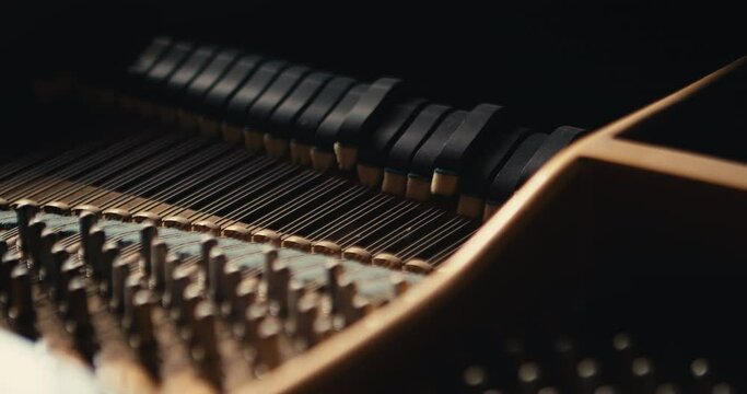 The mechanics of the piano. The hammers strike the strings, which resonate and are then damped by the firm felt. Close-up shot
