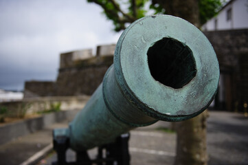 cannon in the fortress