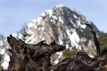 Parque nacional de aiguestortes