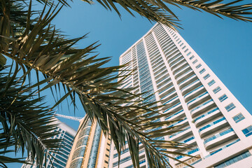 Fototapeta premium Wall With A Balcony Of New Empty Modern Multi-storey Residential Building House In Residential Area On Sunny Blue Sky Under Palm Branches.