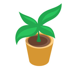 Pot with houseplant isolated at white background. Vector flowerpot of decorative green plant with long leaves in ceramic pot. Indoor plant concept of domestic greenery. Icon for home interior plant
