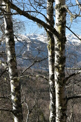 col du chioula