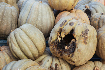 a lot of spoiled pumpkins on the street.close-up there is a place for