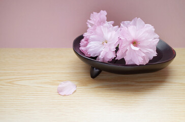 Obraz na płótnie Canvas 八重桜の花をテーブルに飾る
