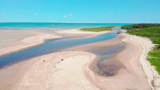 Tamandar&eacute;