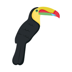 toucan bird icon