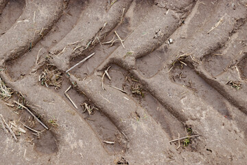 Footprint of wheel tread on the ground road. The trail from the tread of trucks wheels. Car tire tread imprint on sand, background, texture. Footprints rubber tyres from automobile. Close-up.