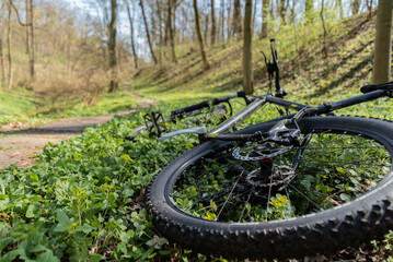 Fototapeta premium The bike lies along the road in the grass