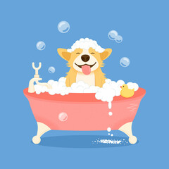 Naklejka premium Dog grooming concept. Cute welsh corgi dog character, takes a bubble bath. The dog washes the grooming salon. Cartoon flat vector illustration.