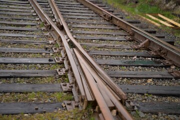 Fototapeta premium railroad tracks in the countryside