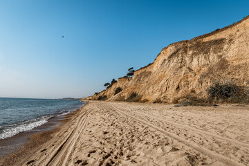 Fototapeta na wymiar Black Sea, sand, seagulls, nature