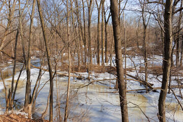 For-Mar Nature Center (2022-W)