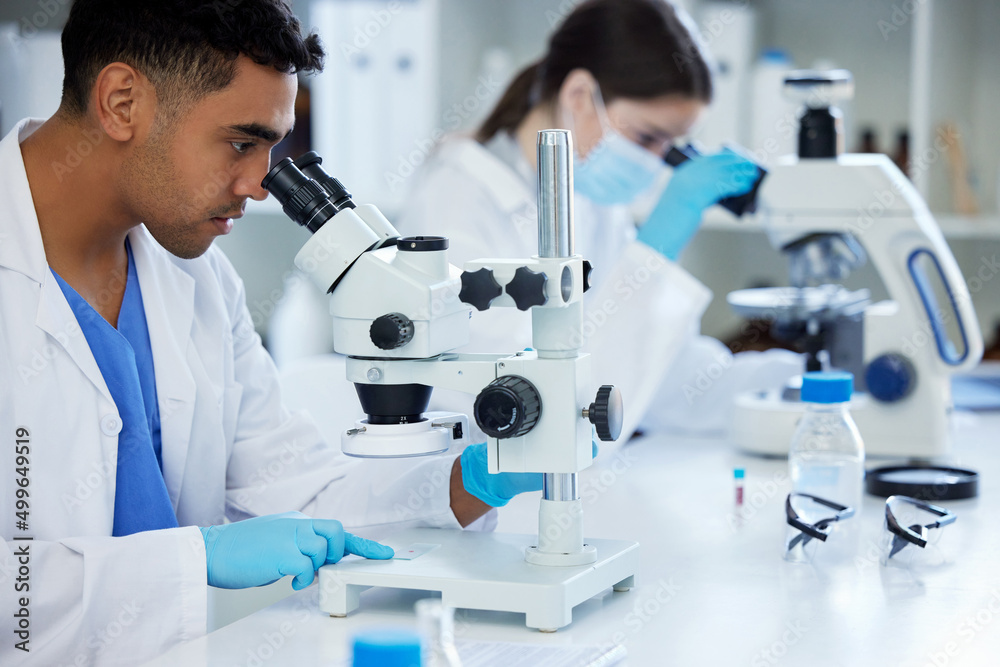 Sticker What will we discover today. Shot of two scientists using microscopes in a lab.