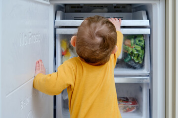 Fototapeta na wymiar Toddler baby boy looks into the open refrigerator. Child safety issues in the home room, little kid the home room, little kid