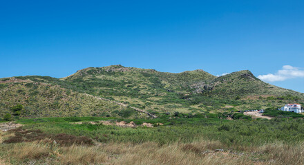 Fototapeta na wymiar Mediterranean shrublands next to Cala Morts, in the municipality Es Mercadal, Menorca, Balearic Islands, Spain