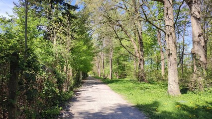 Karlsruhe Killisfeld Ottostraße