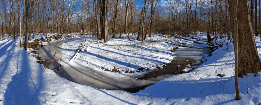 Black River Bend