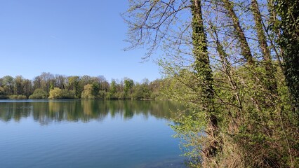 Fototapeta na wymiar Grötzingen Baggersee, See im Wald Deutschland