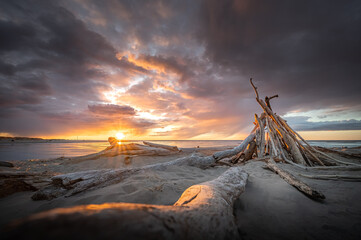 Colorful sunset at wild seaside with giant driftwood on seashore. Baltic sea in stormy weather. 
