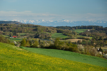 Fototapeta na wymiar Bodenseeregion mit Alpenvorland bei Frickingen-Leustetten. Lake Constance with an Alpine panorama.