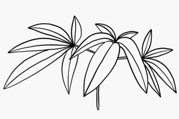 Simplicity cannabis plant freehand drawing flat design.