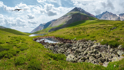 Green swampy plateau and a blue puddle against the background of distant hilly mountains. A...