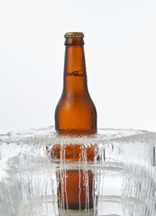 botella de cerveza congelada en un cubo de huielo sobre fondo blanco