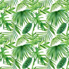 Palm leaves, tropical plant, watercolor botanical illustration. Green leaf Seamless patterns.