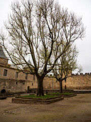 imagen patio Castillo de Carcassonne con dos árboles