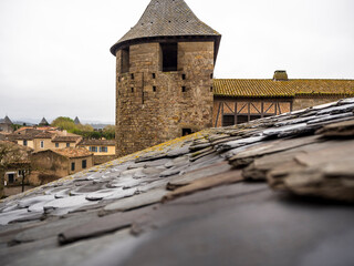 imagen del tejado de pizarra con moho amarillo y una de las torres del castillo de Carcassonne 