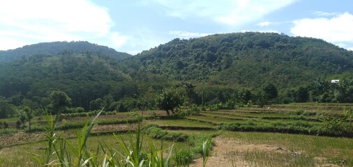 Obraz premium landscape with mountains