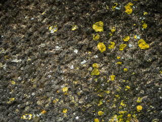 imagen detalle textura piedra oscura con moho blanco y amarillo 