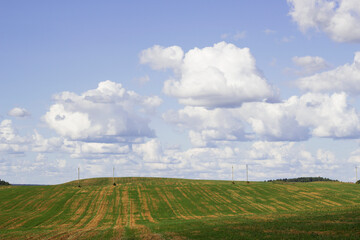 landscape with field and clouds