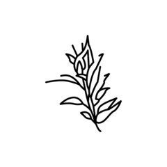 Fototapeta premium Eucalyptus plant color line icon. Pictogram for web page