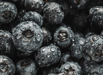 Wet blueberry. Natural and healthy fruits.