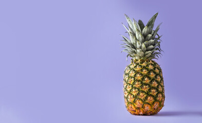 Whole pineapple on the purple background with copy space for your text. Color of year 2022 Very Peri background with tropic feel