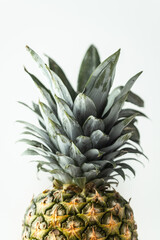 Whole pineapple isolated on the white background. Summertime background with tropic feel