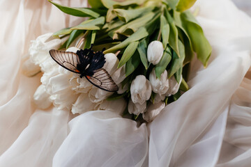 butterfly on fresh white tulips