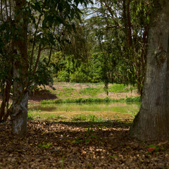 Parque Nacional del Chicamocha